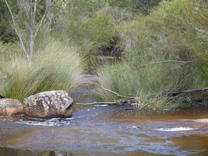 Mount Lindesay National Park