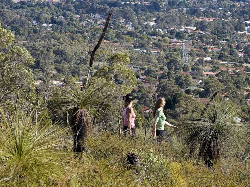 Mundy Regional Park