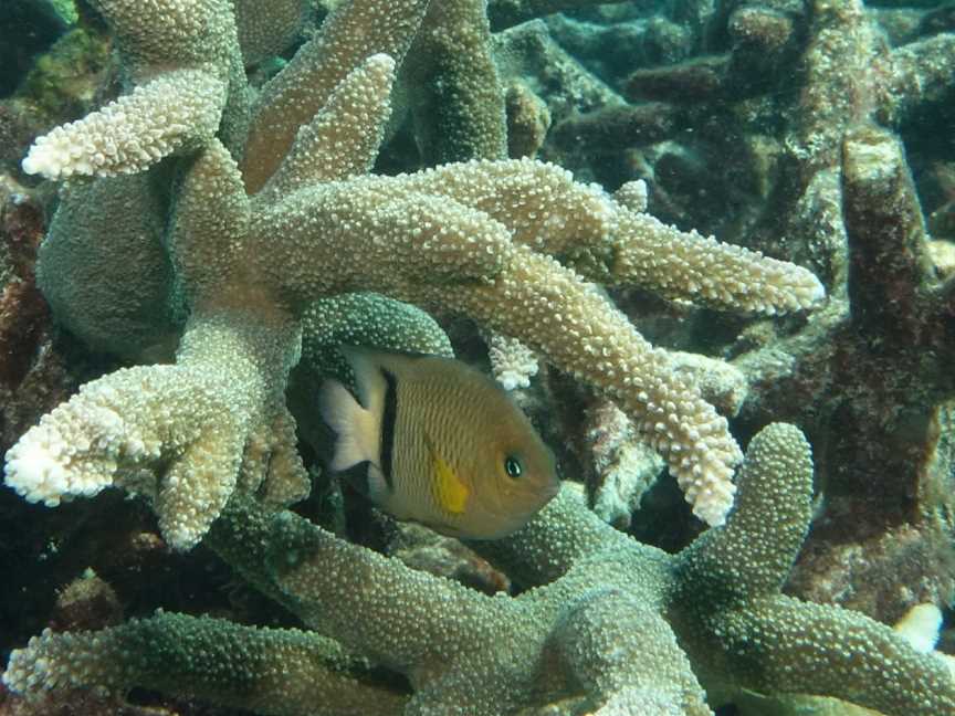 Ningaloo Marine Park