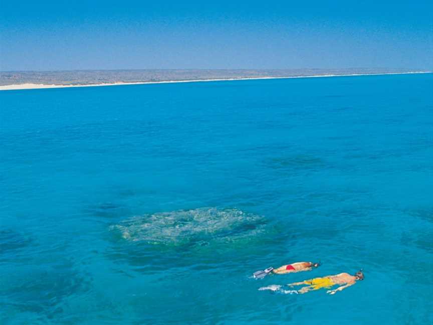 Ningaloo Marine Park