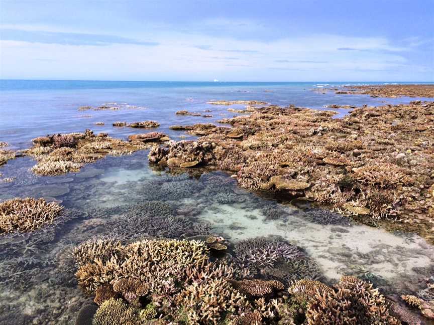 North Kimberley Marine Park