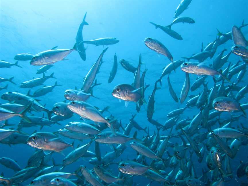 North Lalang-garram Marine Park