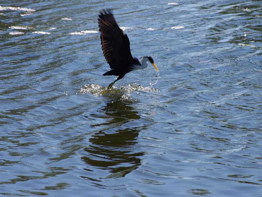 Parry Lagoons Nature Reserve