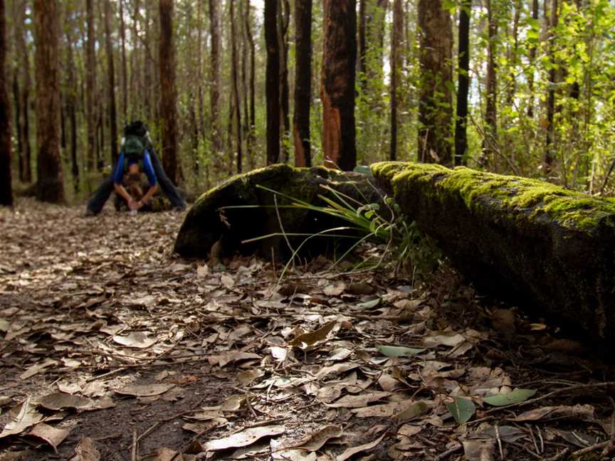 Porongurup National Park