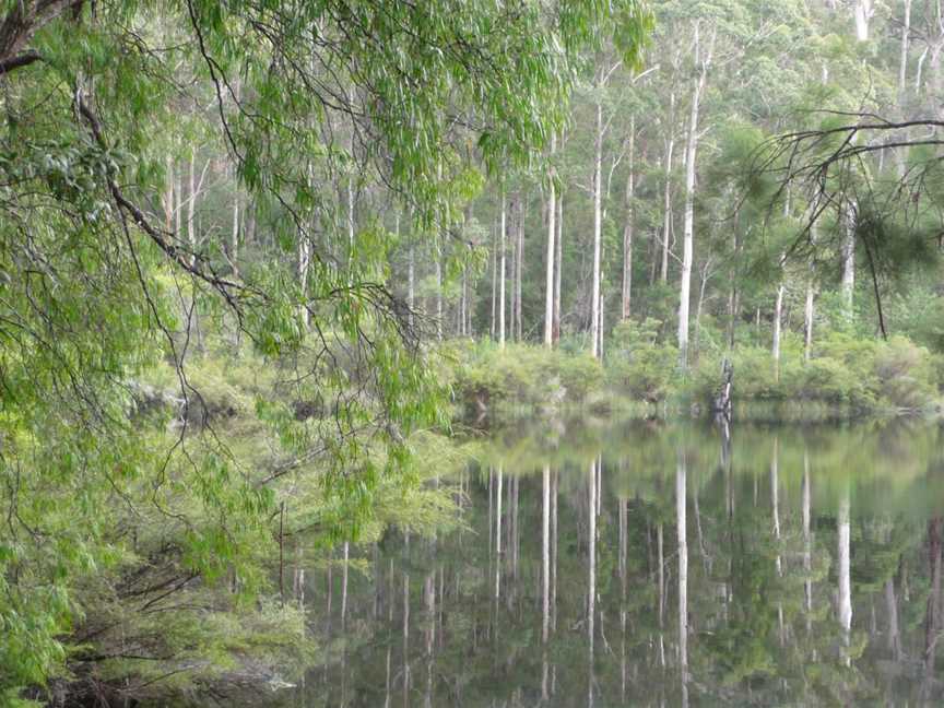 Shannon National Park