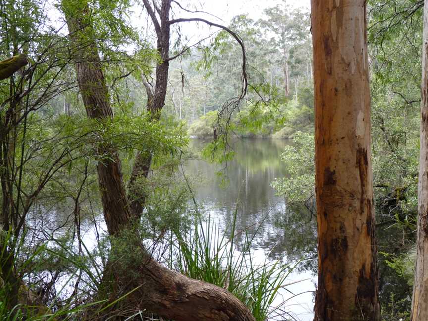 Shannon National Park