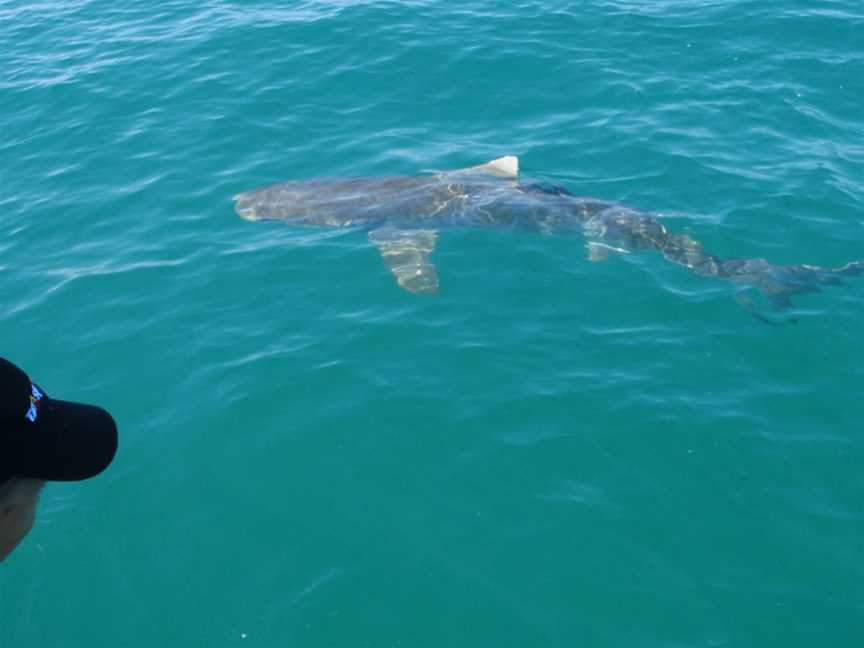 Shark Bay Marine Park