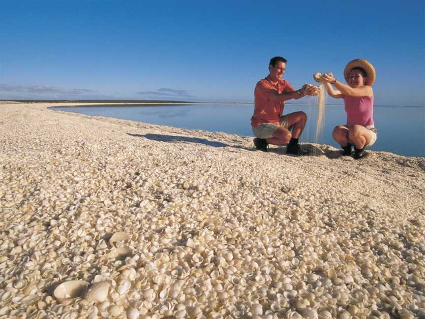 Shell Beach Conservation Park