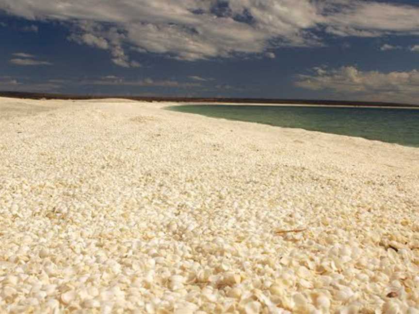 Shell Beach Conservation Park