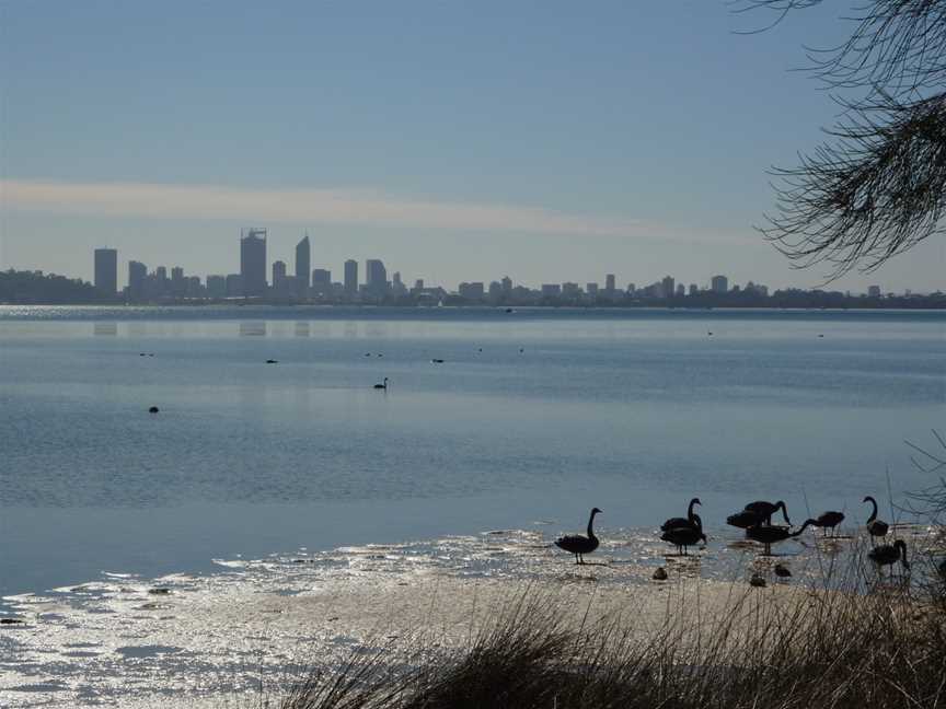 Swan Estuary Marine Park