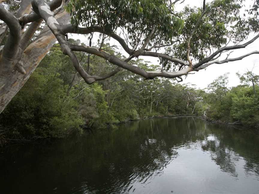 Walpole Nornalup National Park