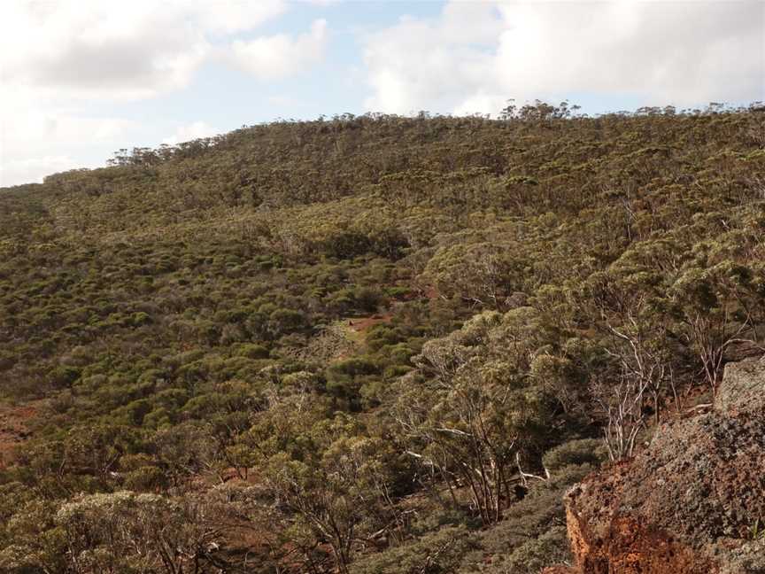 Wongan Hills Nature Reserve