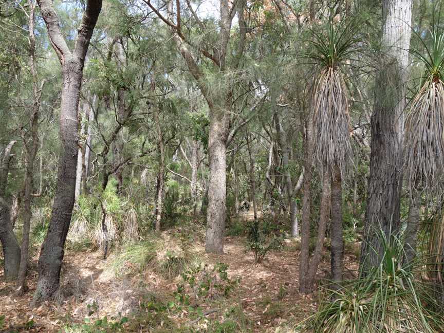 Yelverton National Park