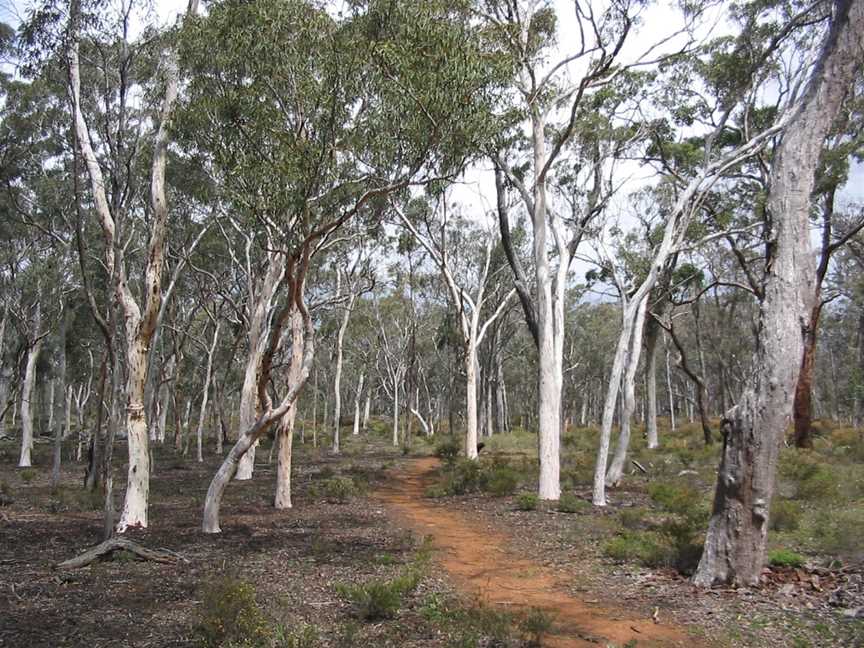 Ochre Trail