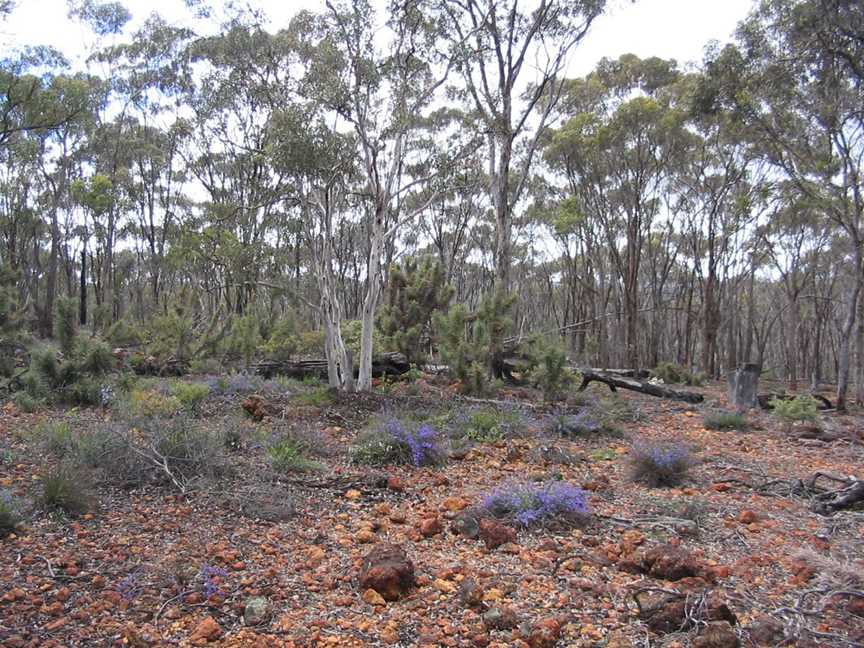 Darwinia Drive Trail