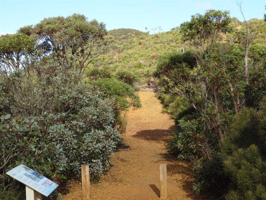 Central Lookout