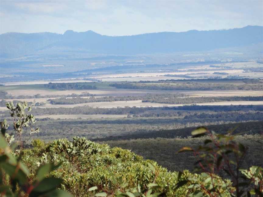 Central Lookout