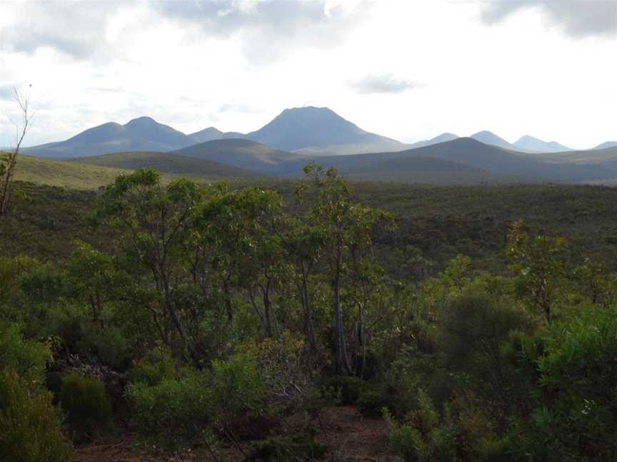 Central Lookout