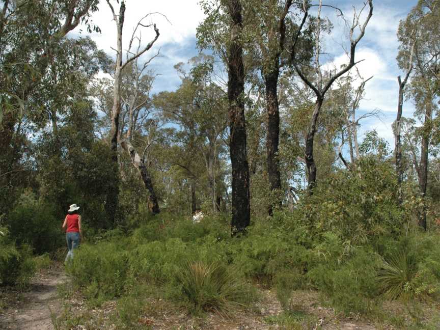 Red Gum Springs