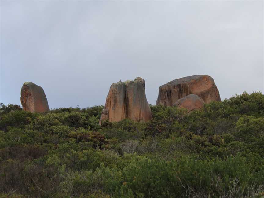 Thistle Cove