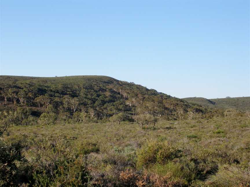 Cockleshell Gully