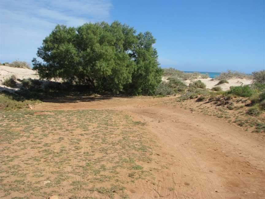 Varanus Beach