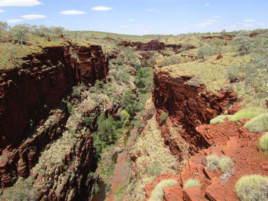 Knox Lookout