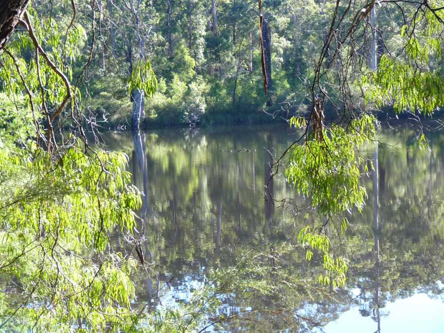 Shannon Dam