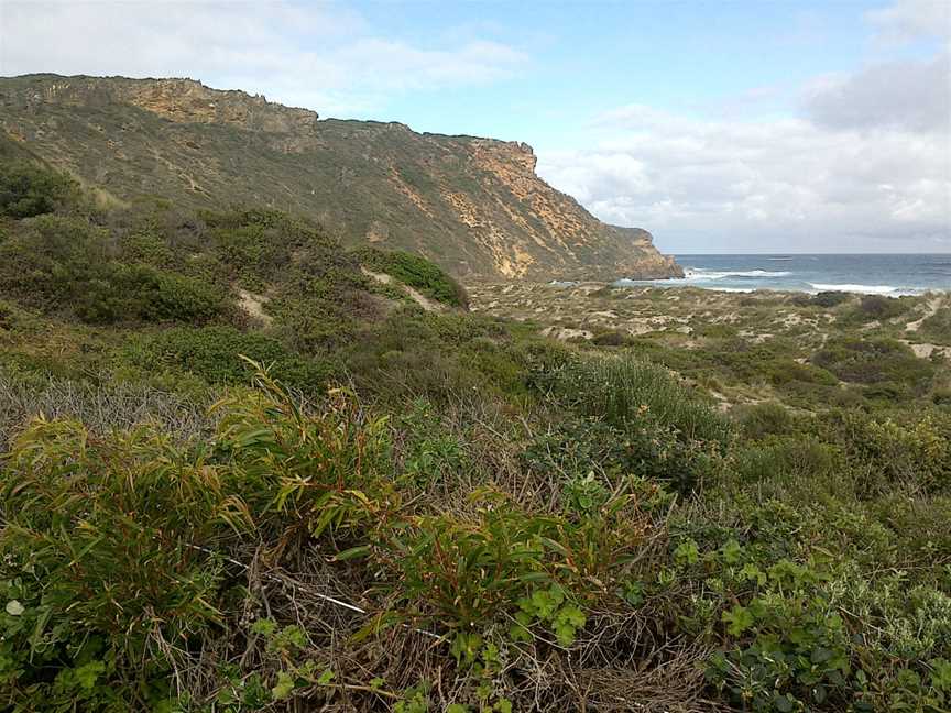 Salmon Beach