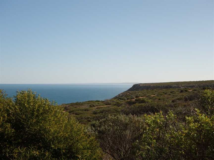 Shell House And Grandstand Rock Gorge