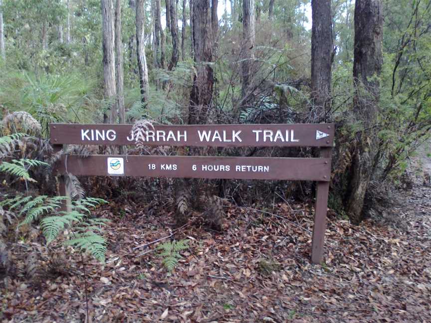 King Jarrah Walk Trail