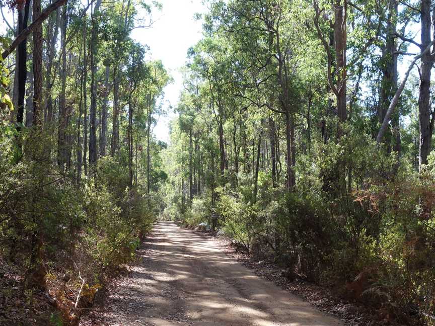 King Jarrah Walk Trail