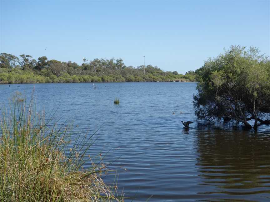 Wilson Wetlands