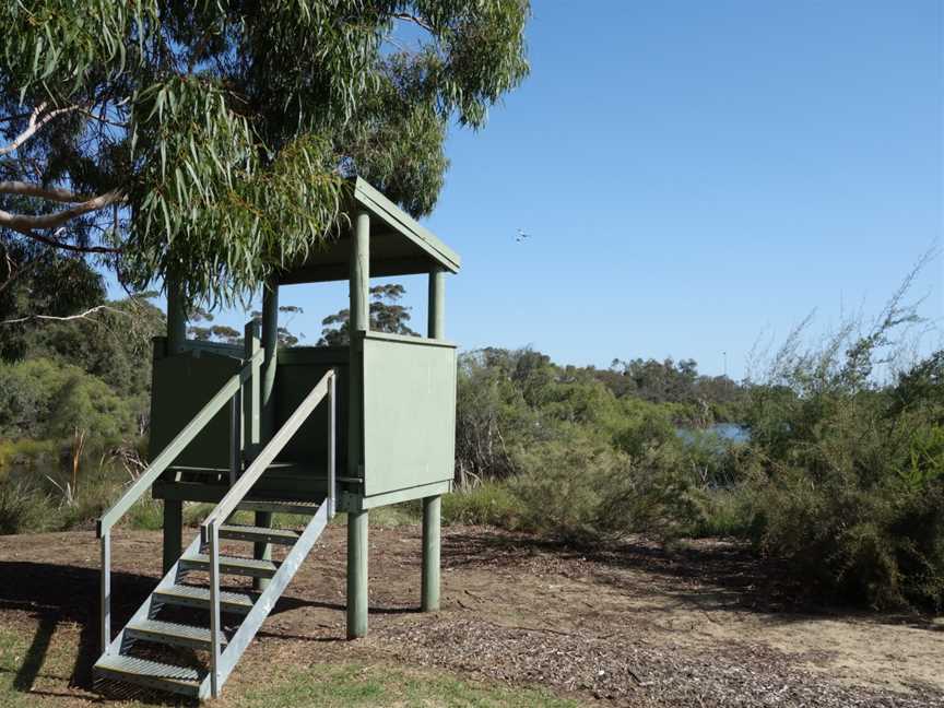 Wilson Wetlands