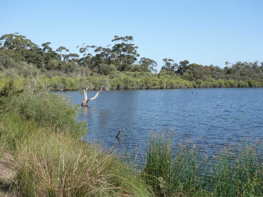 Wilson Wetlands