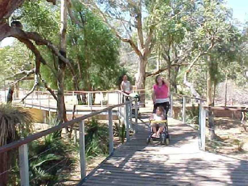 Koala Viewing Area