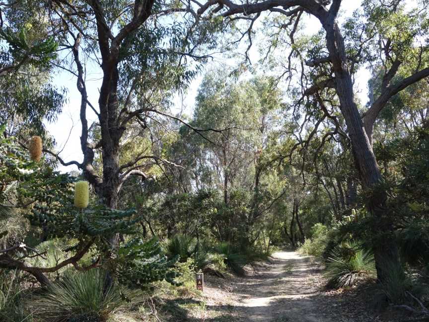 Lake Pollard Walk Trail