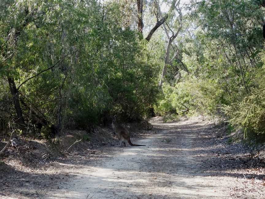 Lake Pollard Walk Trail