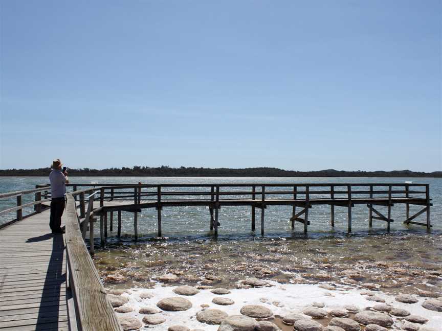 Lake Clifton Thrombolites