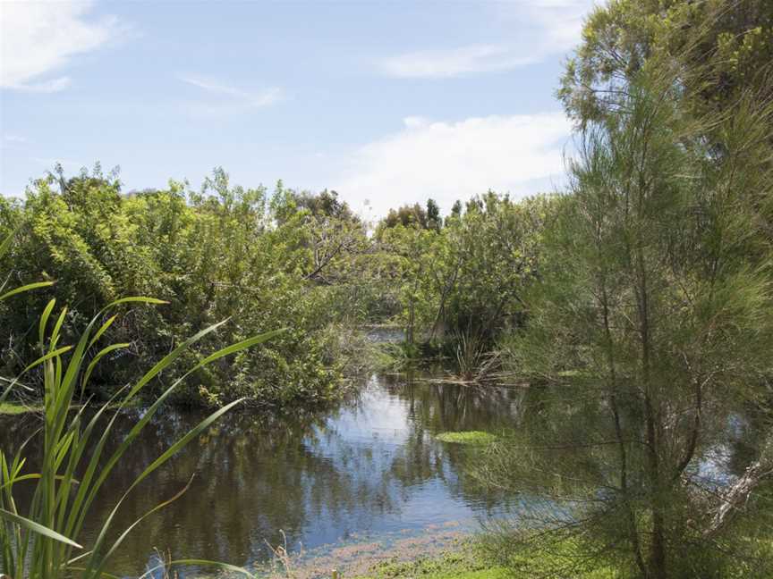 Baigup Wetland