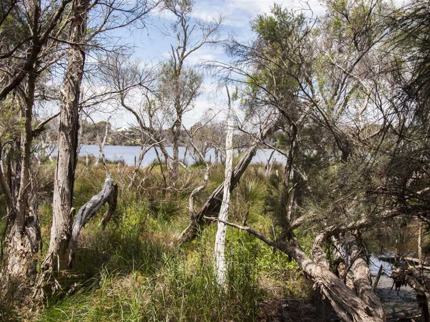 Baigup Wetland