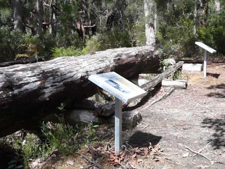 Rest Point Saw Pit, Tourist attractions in Walpole