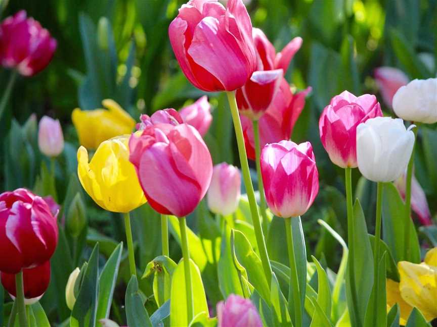 Araluen Botanic Park, Tourist attractions in Roleystone