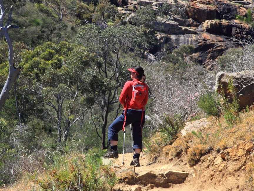 Sixty Foot Falls Trail, Tourist attractions in Martin