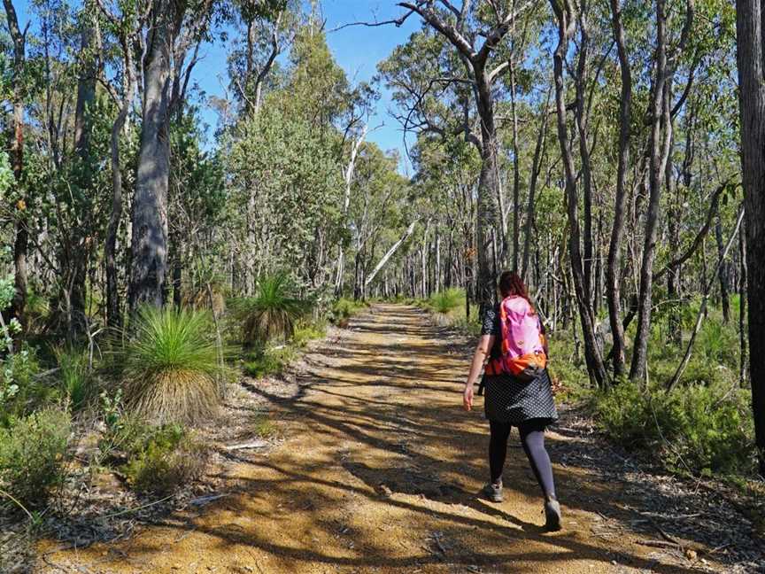 Bungendore Park, Tourist attractions in Bedfordale