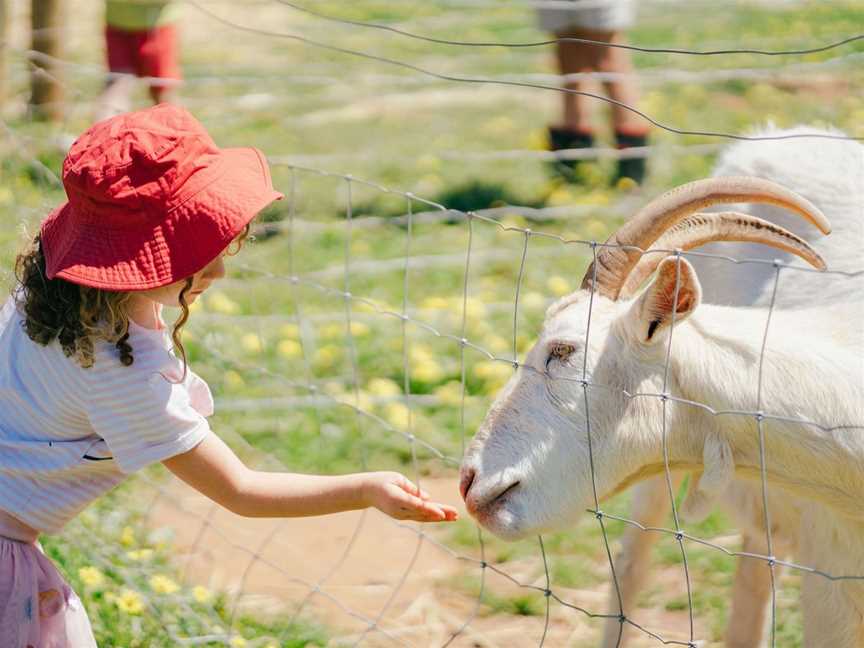 The Orchard Perth, Tourist attractions in Chittering