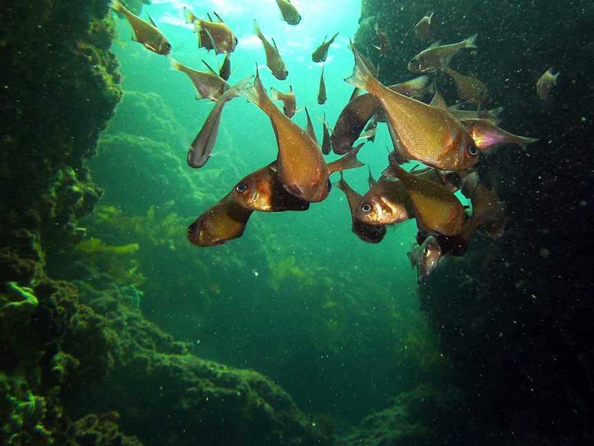 Boyinaboat Reef