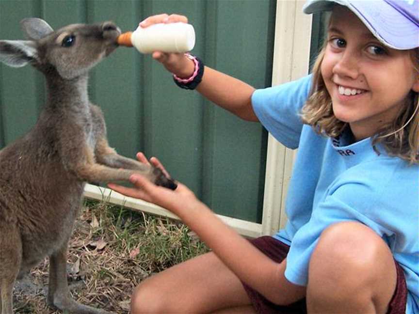 Peel Zoo, Tourist attractions in Pinjarra