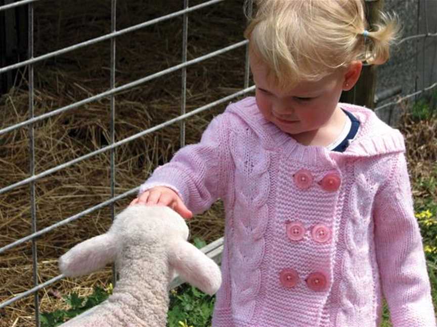 Wonky Windmill Farm & Eco Park, Tourist attractions in Yelverton