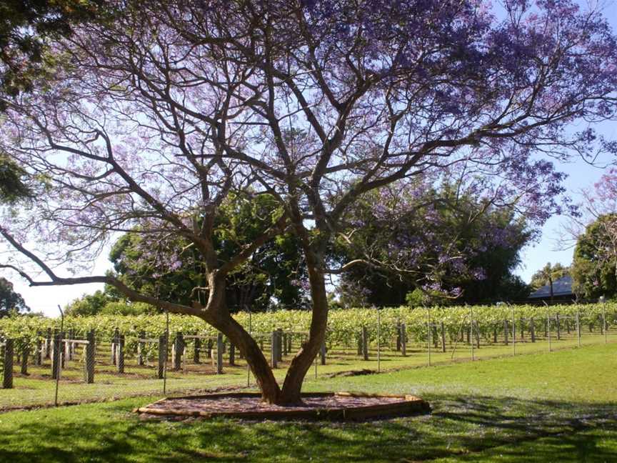 Douglas Vale Historic Homestead & Vineyard, Port Macquarie, NSW